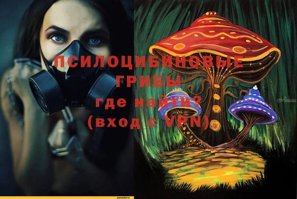 гидропоника Абаза