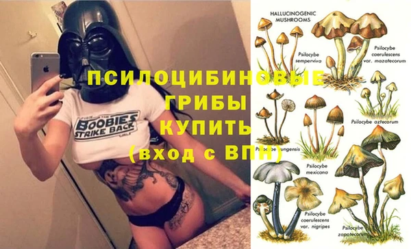 СК Абдулино