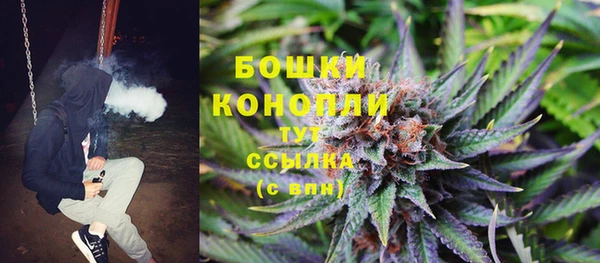 гидропоника Абаза