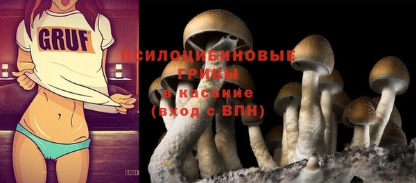 гидропоника Абаза